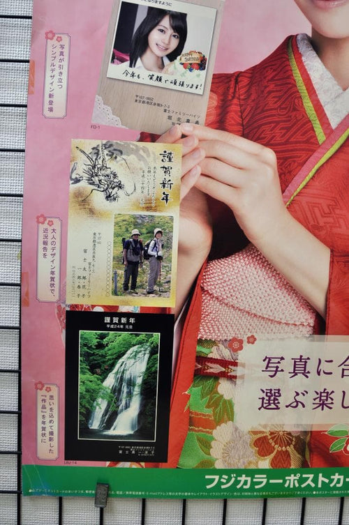 Fujifilm Posters 2012 B2