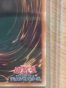 Yu -Gi -Oh! Ocg Duel Monsters 20Th