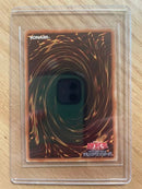 Yu -Gi -Oh! Ocg Duel Monsters 20Th