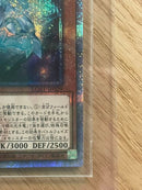 Yu -Gi -Oh! Ocg Duel Monsters 20Th