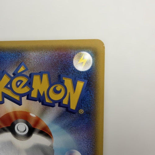 Pokemon Card Game Promo Xy