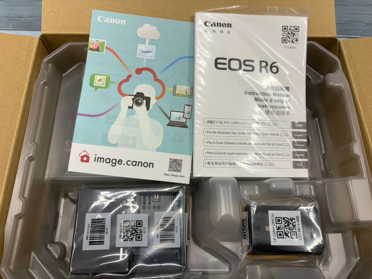 Mirrorless Interchangeable Lips Canon Eos R6 Rf24-105Mm F4-7.1 Is Stm Kit