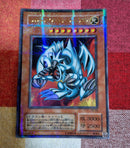 Yu-Gi-Oh! Ocg Duel Monsters (Japanese)