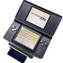 Nintendo Ds Body Lite)