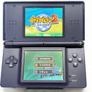 Nintendo Ds Body Lite)