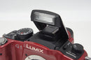 Panasonic Mirrorless Interchangeable Lips Lumix Dmc-G1 260710W