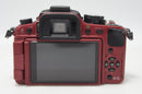 Panasonic Mirrorless Interchangeable Lips Lumix Dmc-G1 260710W