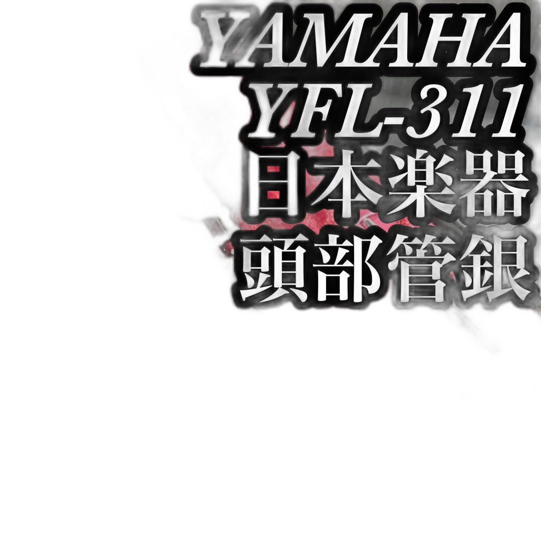 Yamaha Flute Body Yfl-311