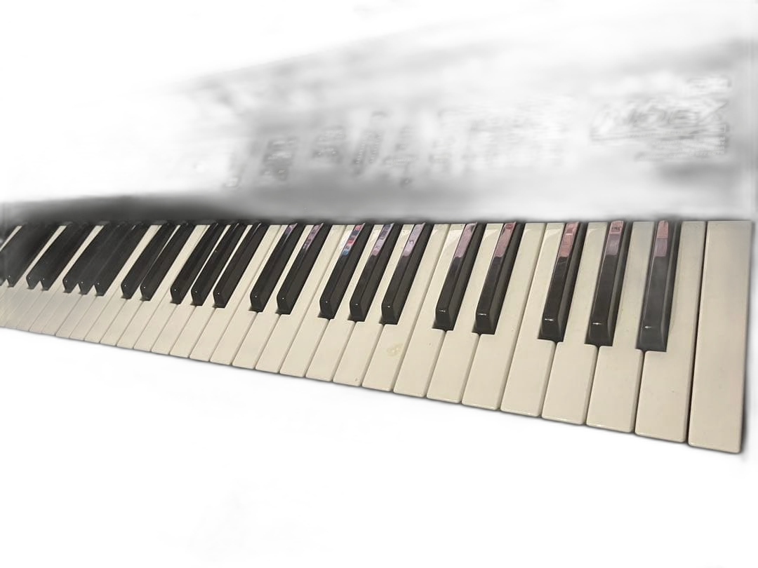 Korg Others N5 Ex 61 90