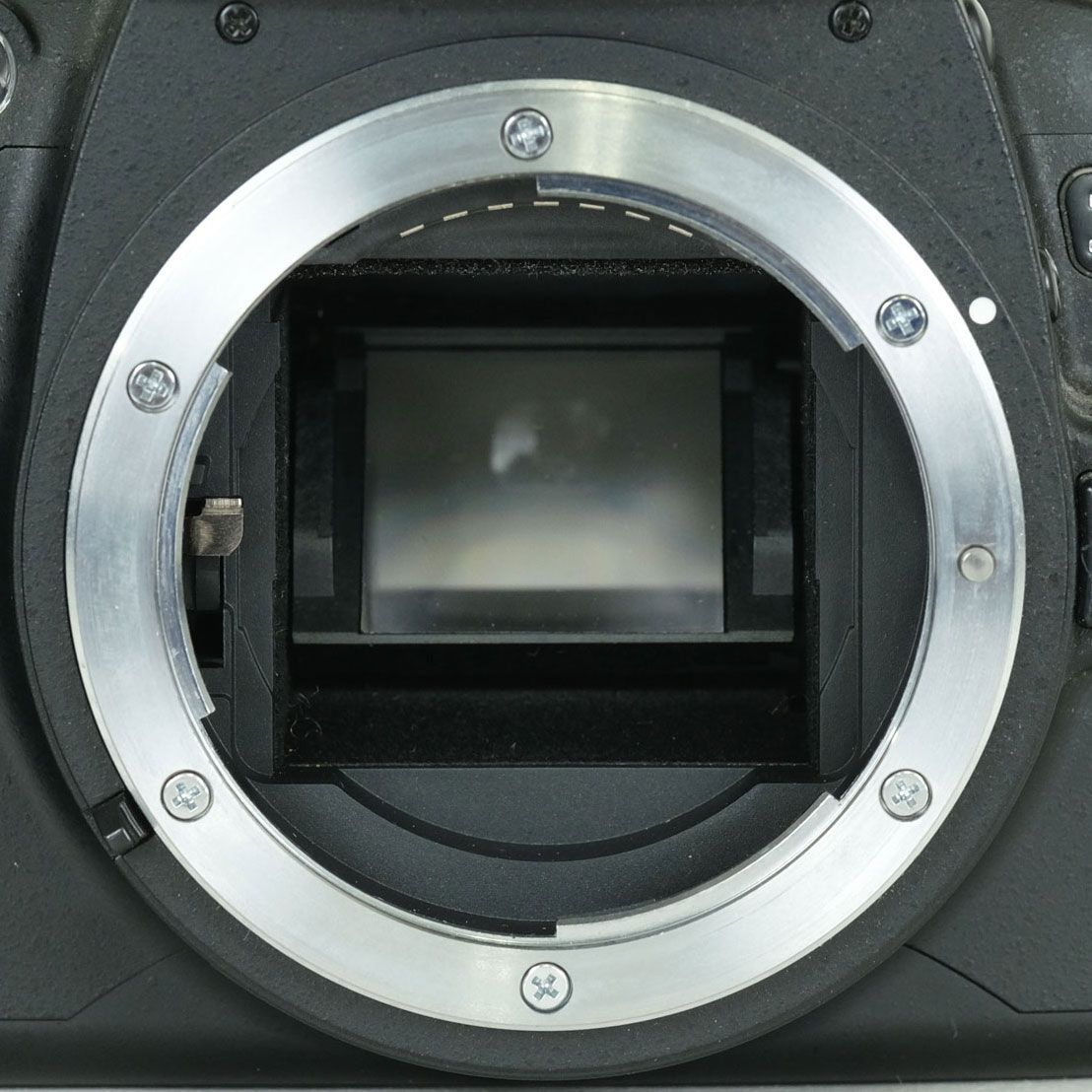 Nikon Digital Slr 16,550 D40 F