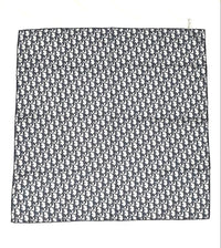 Christian Dior Bandanas Thin Scarves