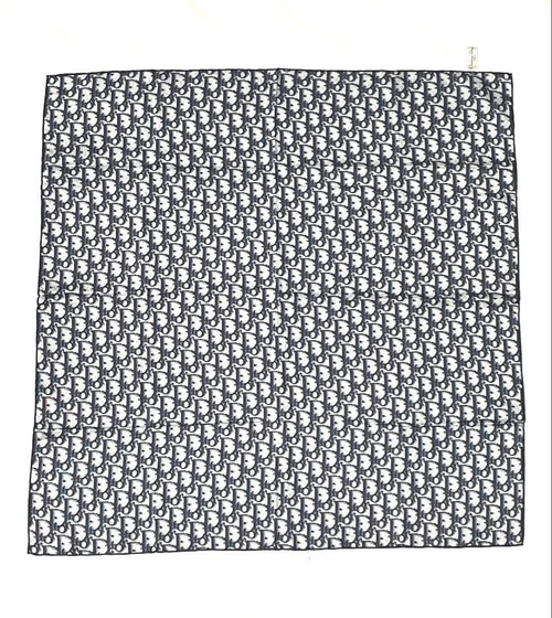 Christian Dior Bandanas Thin Scarves