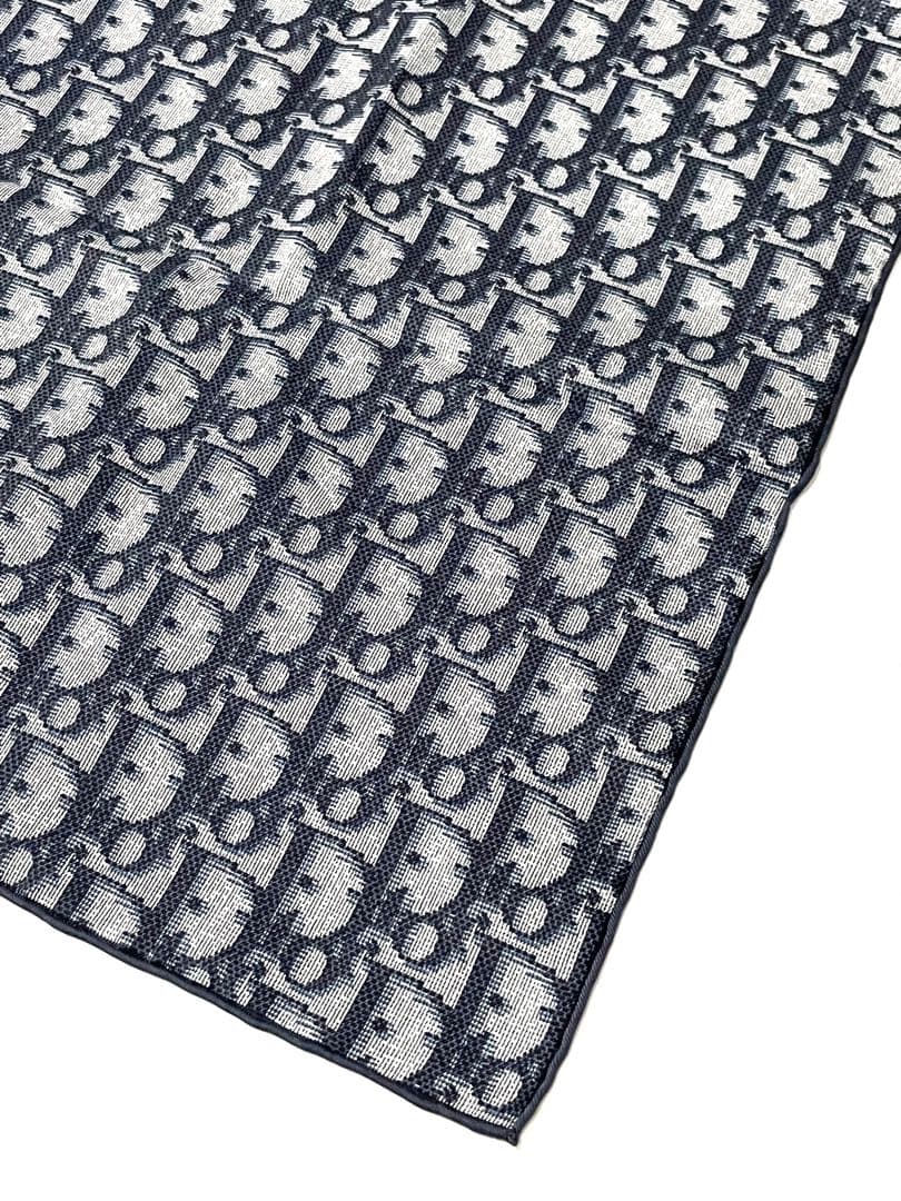 Christian Dior Bandanas Thin Scarves
