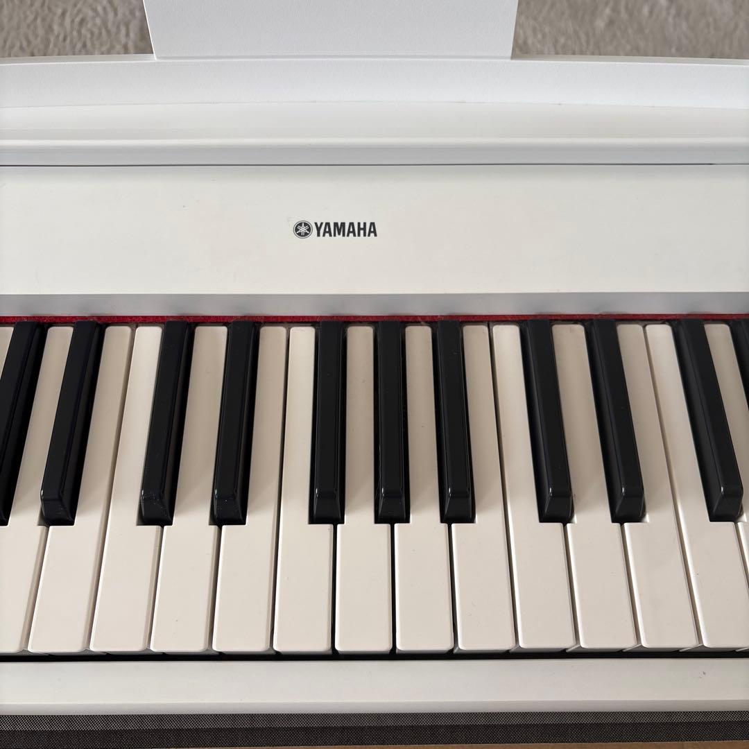 Keyboards Digital Pianos Yamaha Piaggero Np-12Wh