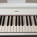 Keyboards Digital Pianos Yamaha Piaggero Np-12Wh