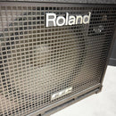 Roland Bass Amps D-Bass 115