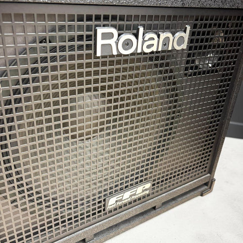 Roland Bass Amps D-Bass 115