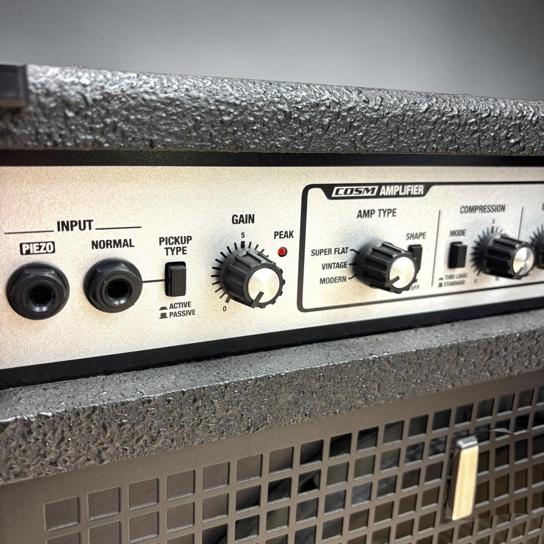 Roland Bass Amps D-Bass 115