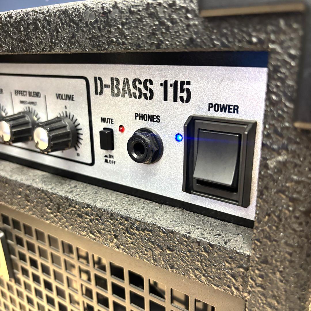 Roland Bass Amps D-Bass 115