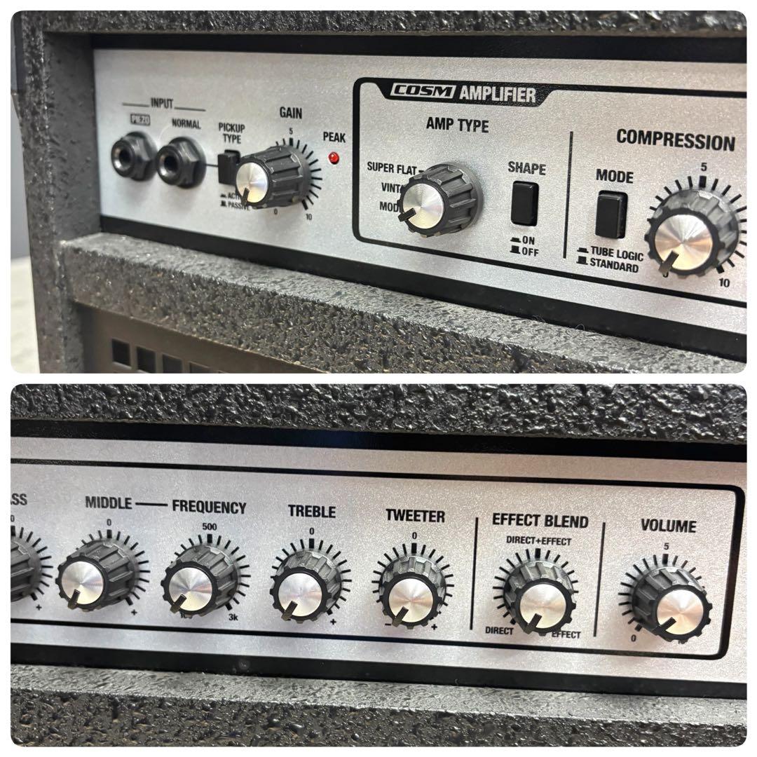 Roland Bass Amps D-Bass 115