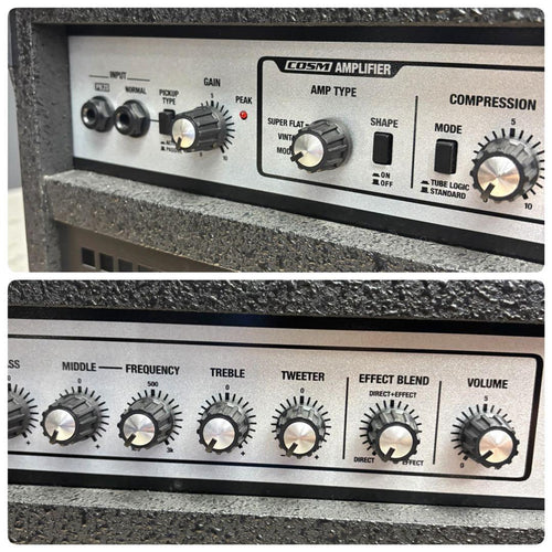 Roland Bass Amps D-Bass 115