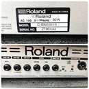 Roland Bass Amps D-Bass 115
