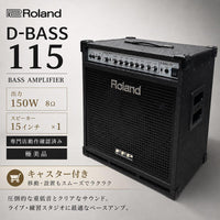 Roland Bass Amps D-Bass 115