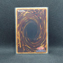 Yu-Gi-Oh! Ocg Duel Monsters (Japanese)