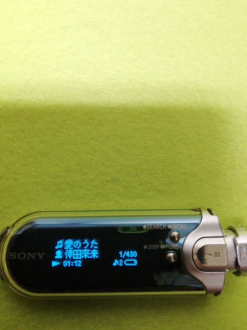 Sony Digital Audio Player Nw-A605