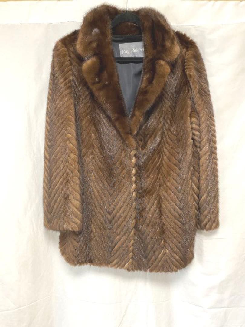 Fur And Coat Ray Roland 20220921