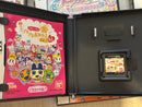Nintendo Body (Ds Lite) Dslite