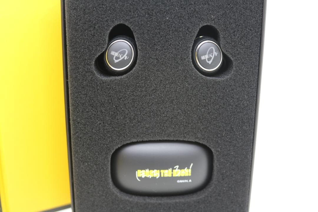 Onkyo Wireless Earphones Anima Aow01