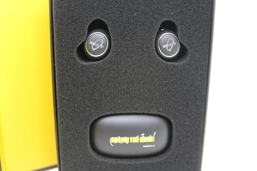 Onkyo Wireless Earphones Anima Aow01