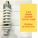 Suzuki Suspensions Gsx250R/V /Gsr250