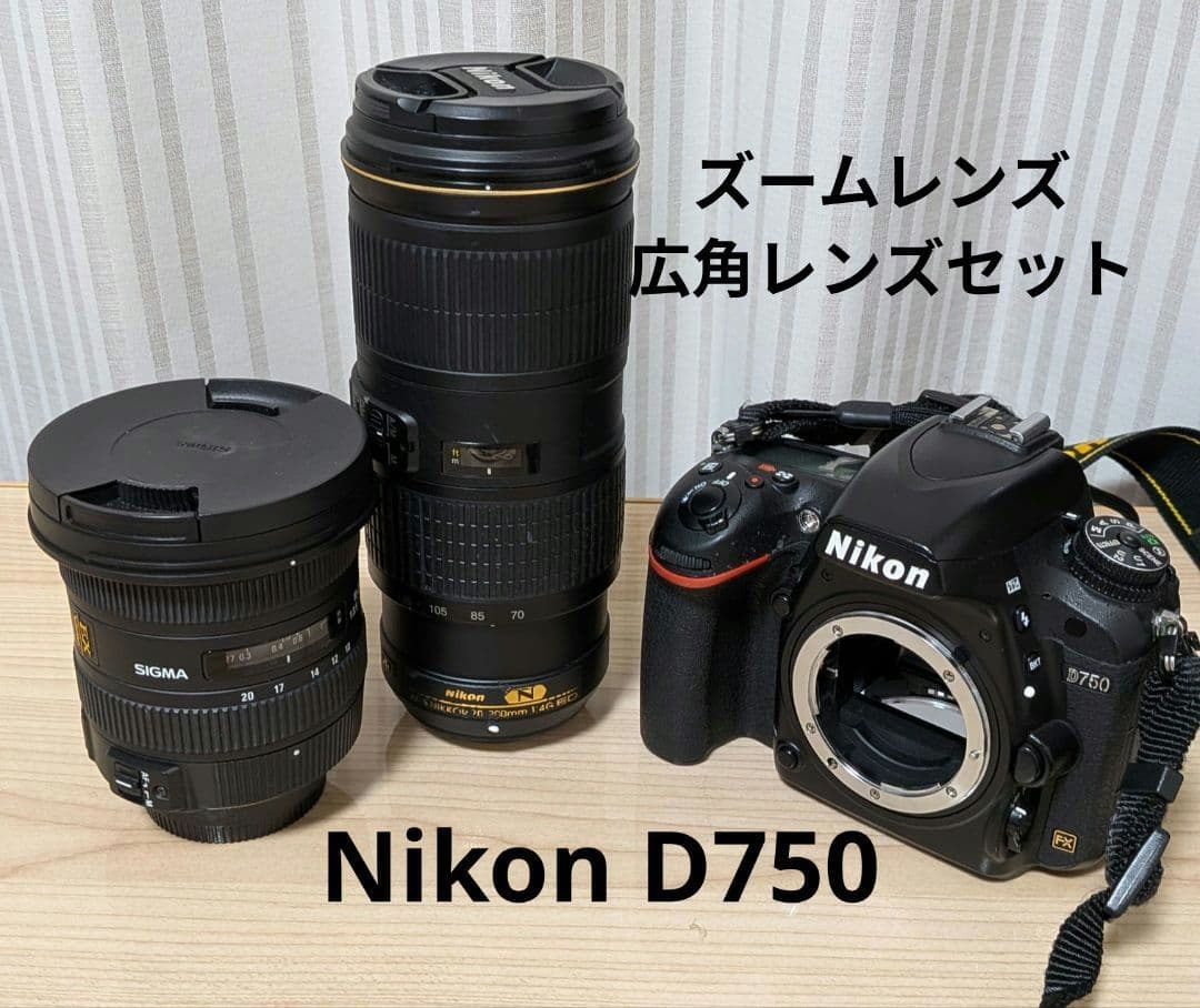 Nikon Digital Slrs D750 Nikkor 70-200 F4 Sigma 10-20Mm F3.5