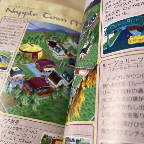 Game Capture Book