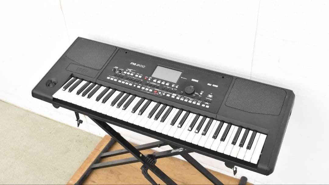 Korg Keyboard Electronic Piano Pa300