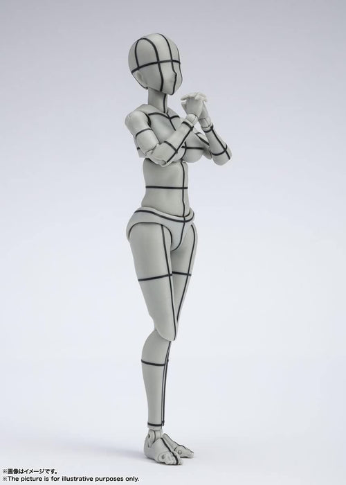 Others S.H. (Gray Color Ver.) Pvc&Abs
