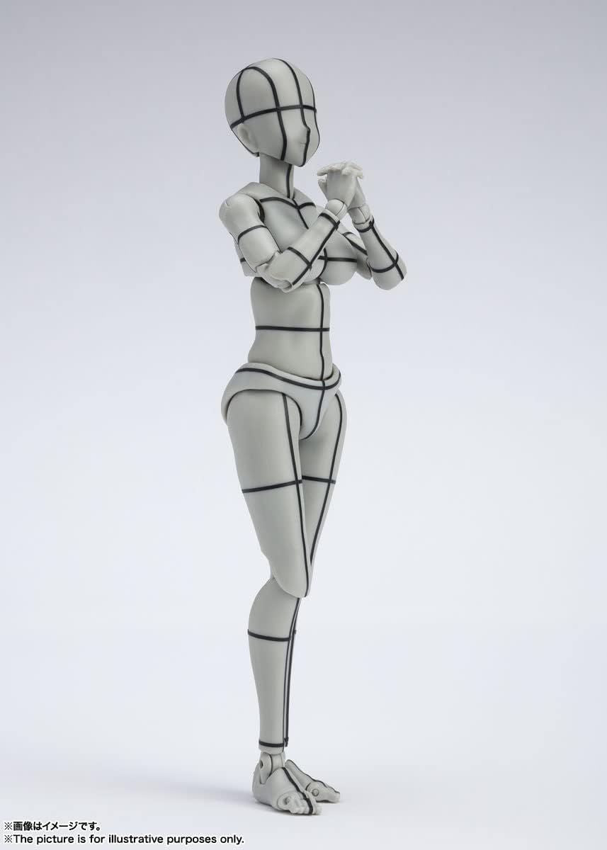 Others S.H. (Gray Color Ver.) Pvc&Abs