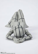 Others S.H. (Gray Color Ver.) Pvc&Abs