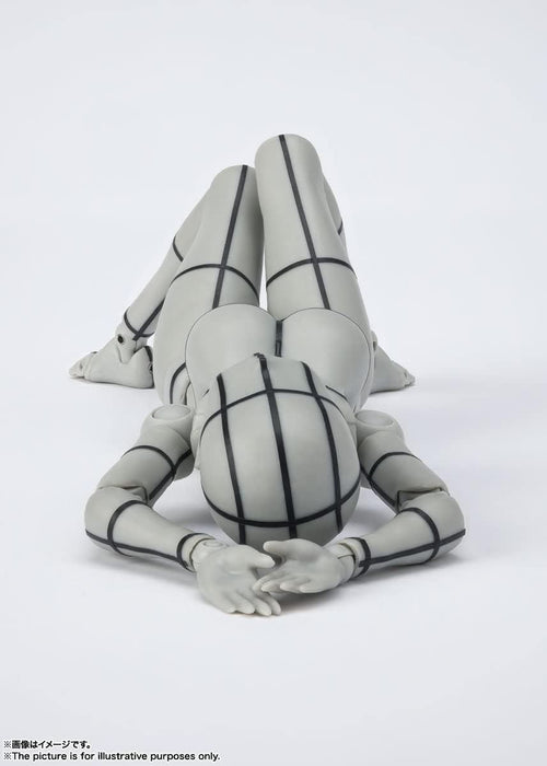 Others S.H. (Gray Color Ver.) Pvc&Abs