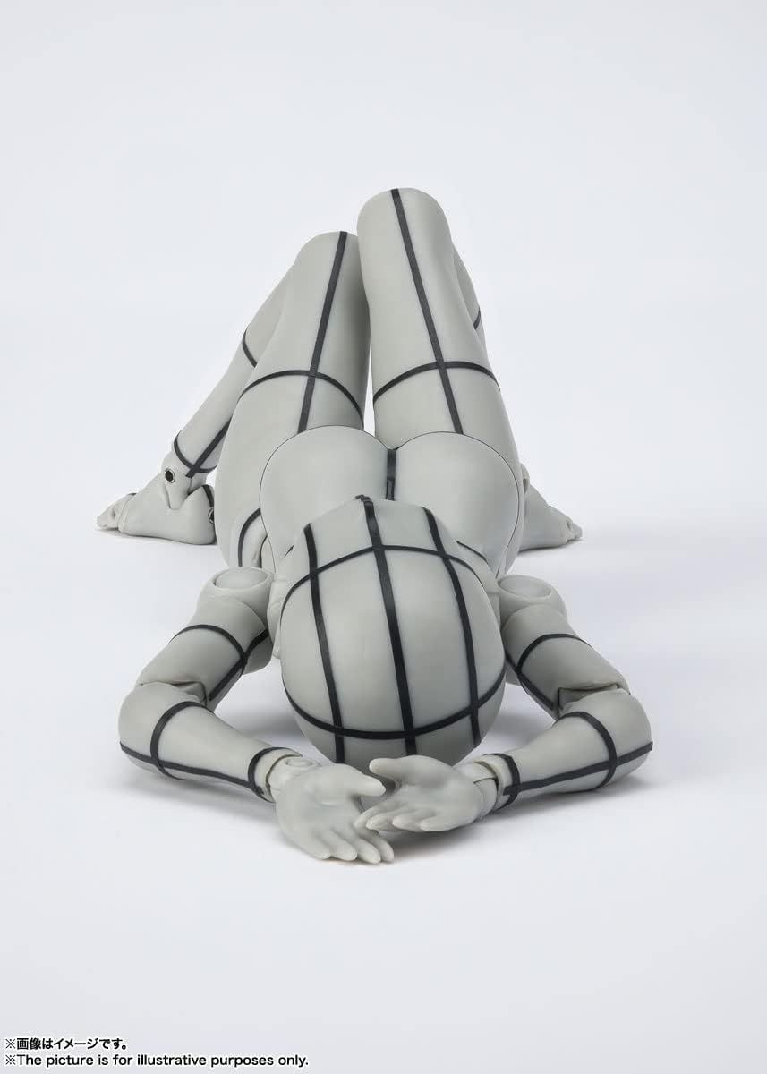 Others S.H. (Gray Color Ver.) Pvc&Abs