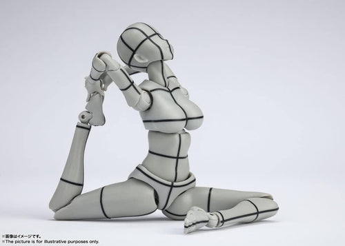 Others S.H. (Gray Color Ver.) Pvc&Abs