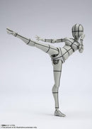 Others S.H. (Gray Color Ver.) Pvc&Abs
