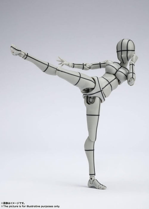 Others S.H. (Gray Color Ver.) Pvc&Abs