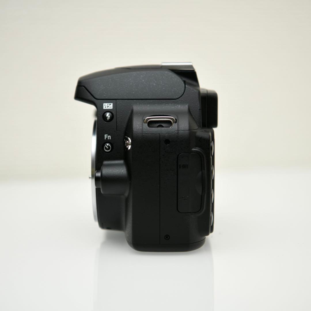Nikon Digital Slrs D40