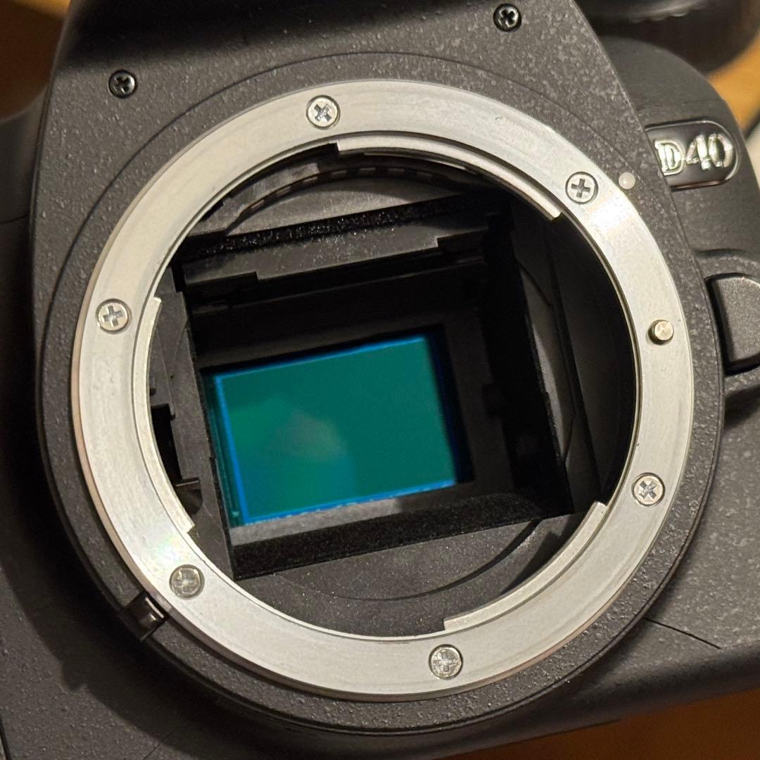 Nikon Digital Slrs D40