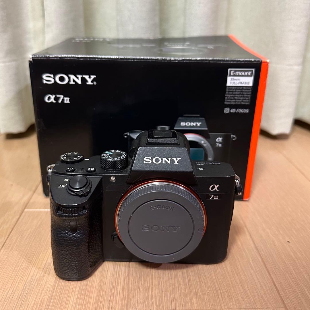 Sony Mirrorless Interchangeable Lips A7Iii 2