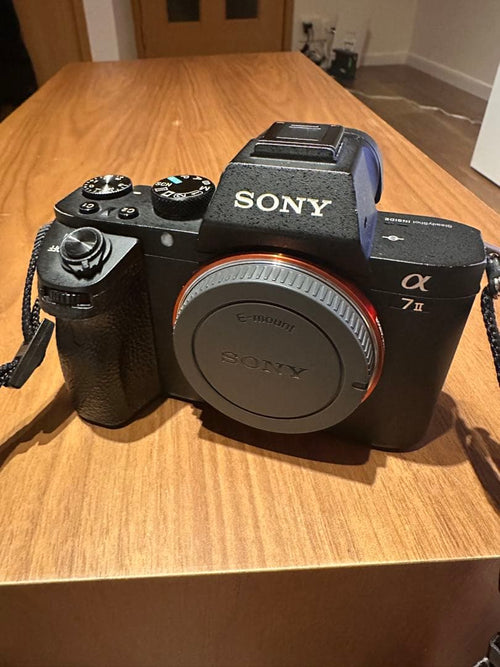 Sony Mirrorless Interchangeable Lips 7