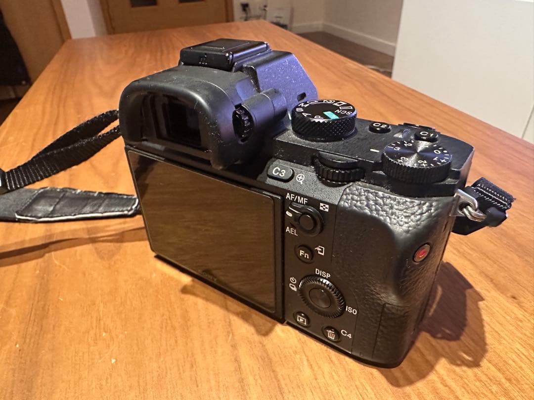 Sony Mirrorless Interchangeable Lips 7